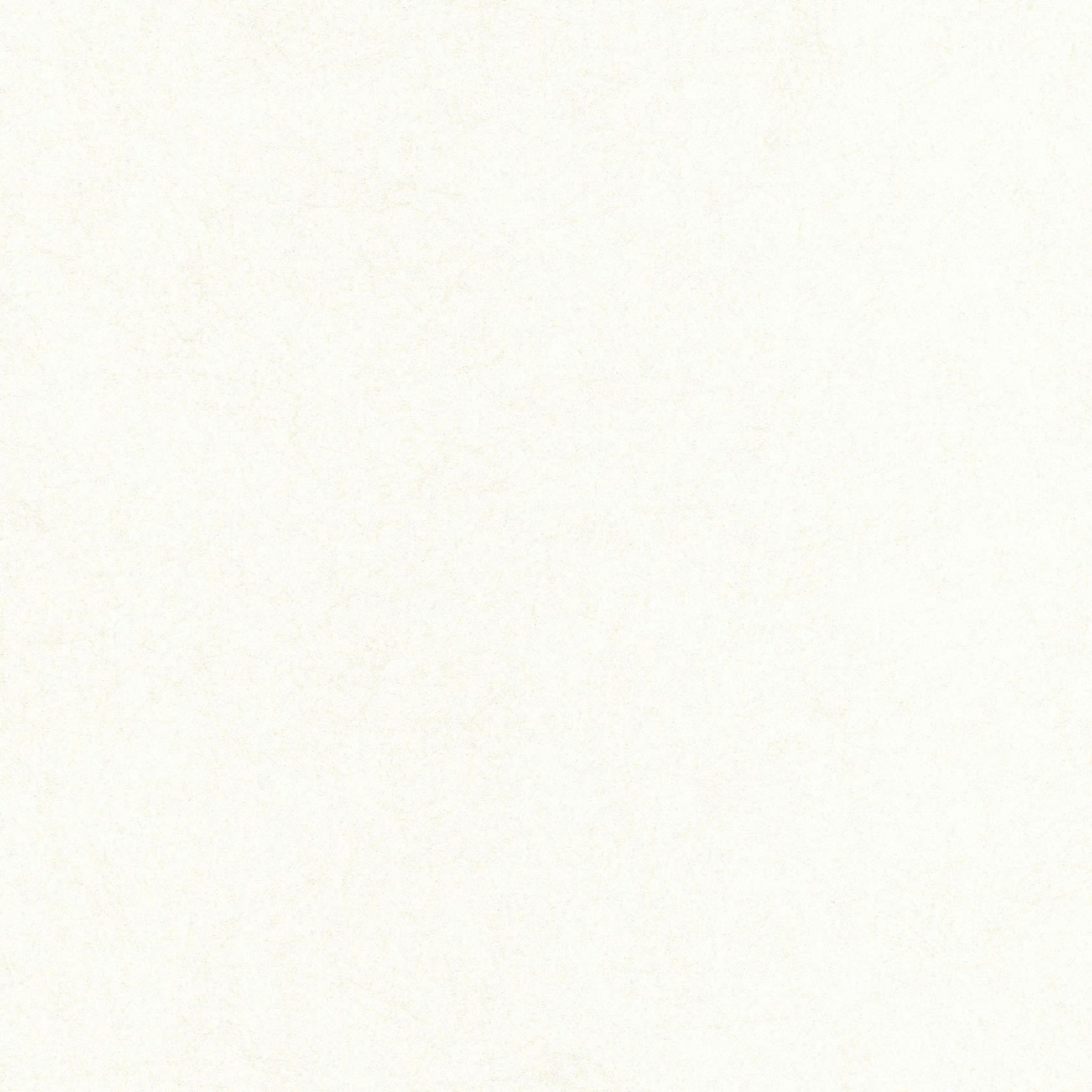 - papier peint tranquil argent 1005x52cm