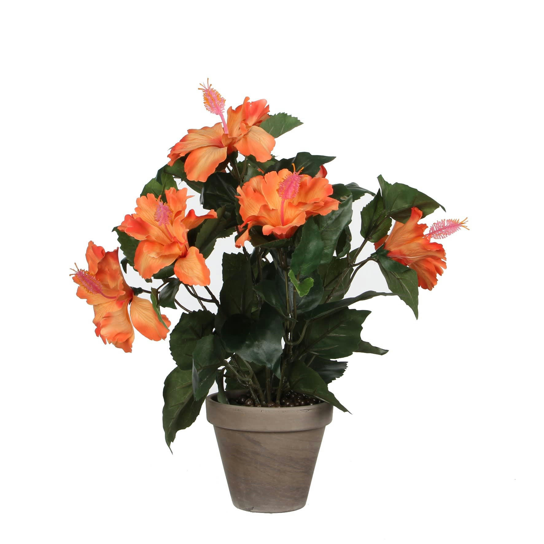 - Hibiscus artificielle orange en pot H40