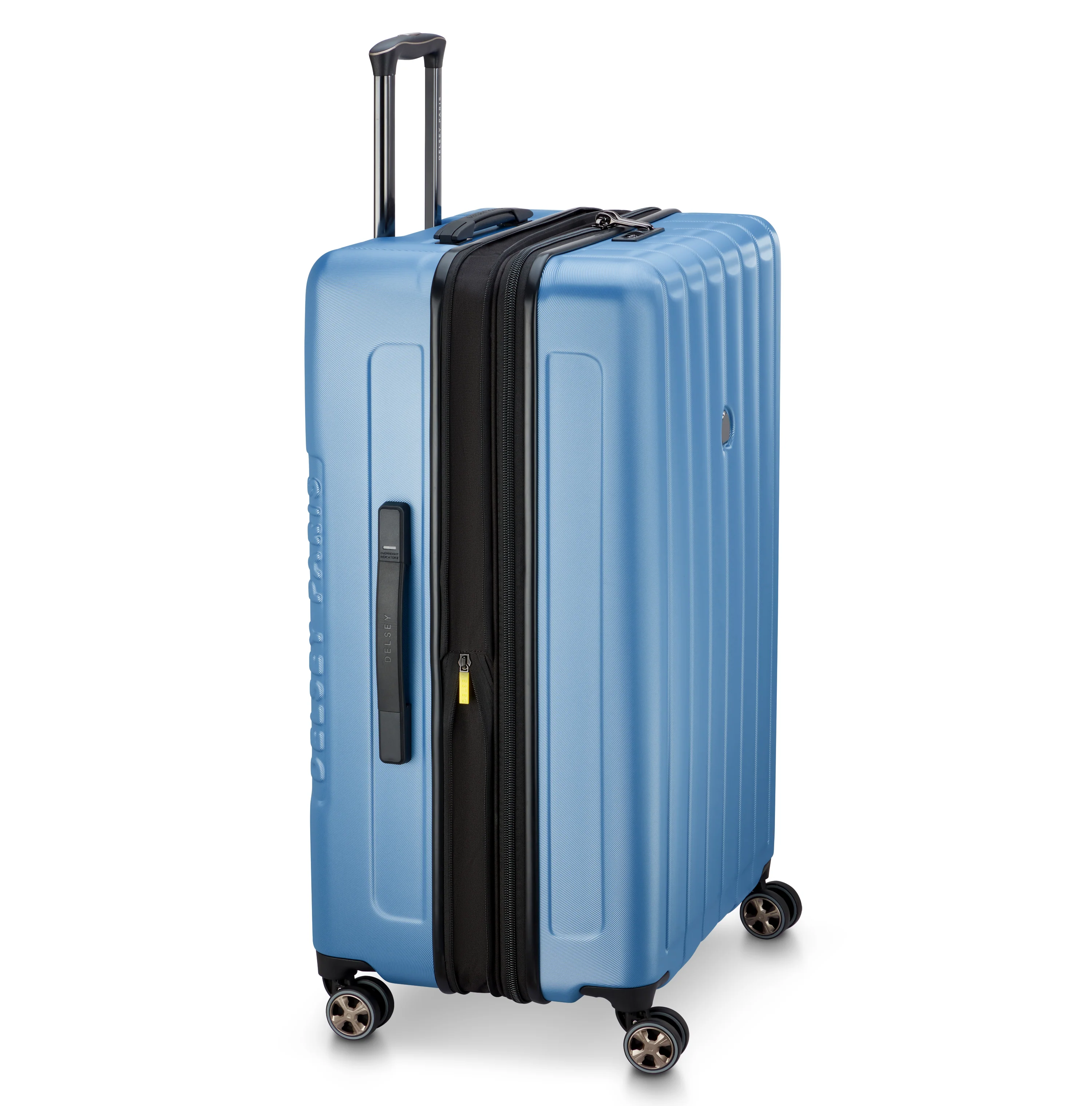 LONGITUDE - XL (81cm)