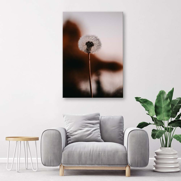 Feeby Obraz na płótnie Samotny dmuchawiec 40x60