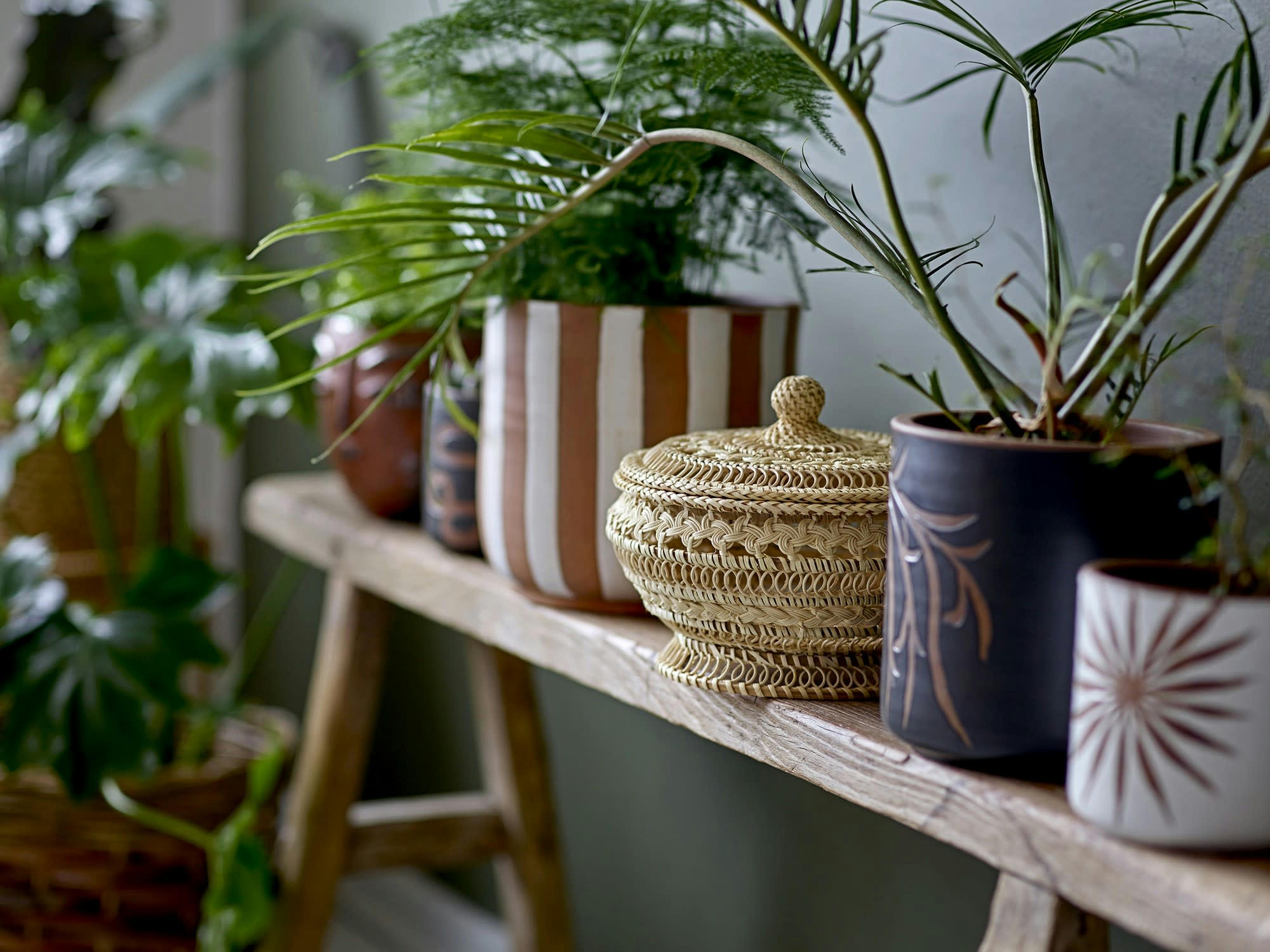 NIL - Panier avec couvercle en rotin beige