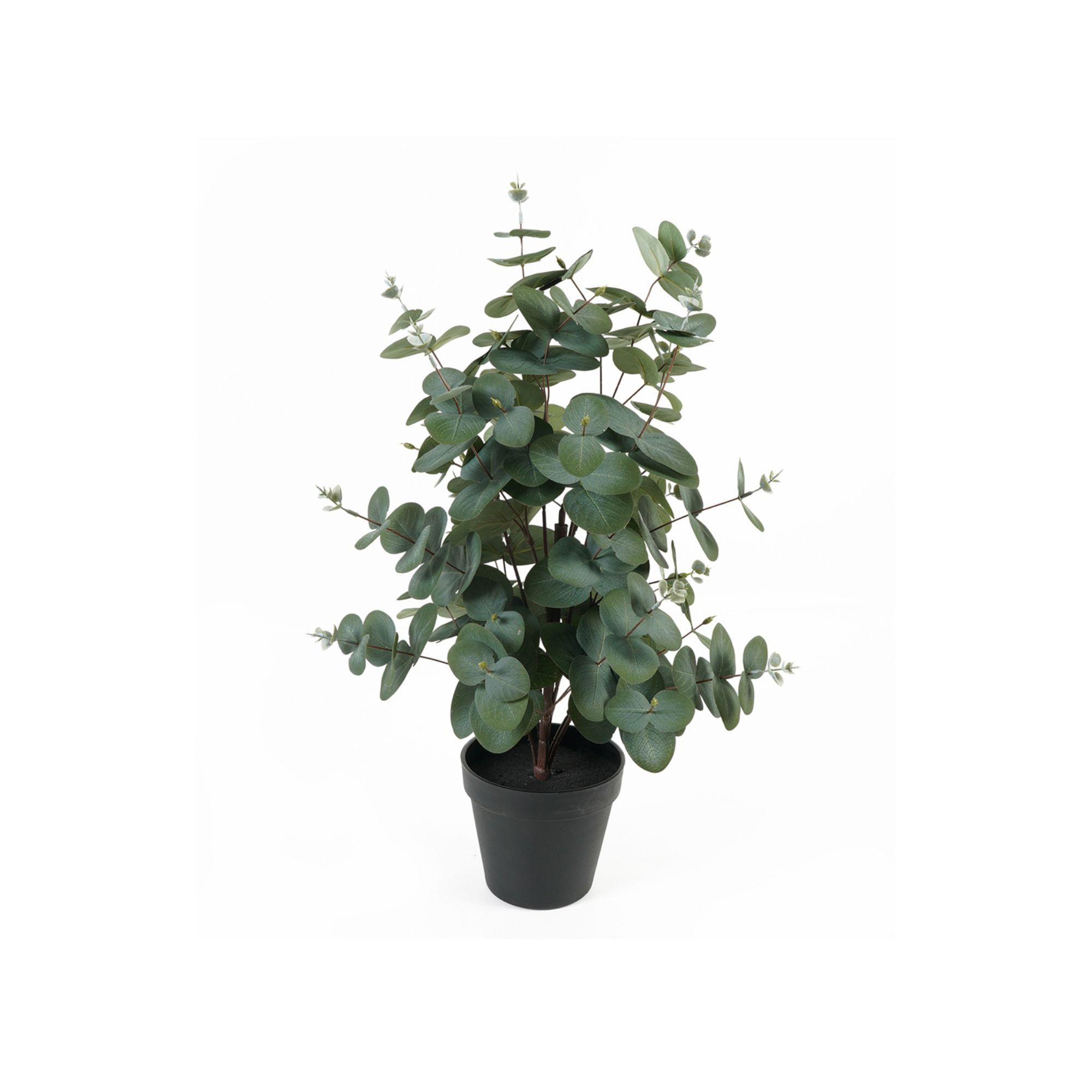 Present Time kunstplant Eucalyptus Leaf - groen - 25x25x54cm