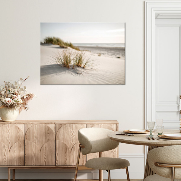 Obraz do salonu nowoczesny, Plaża morze wydmy natura rośliny 30x20
