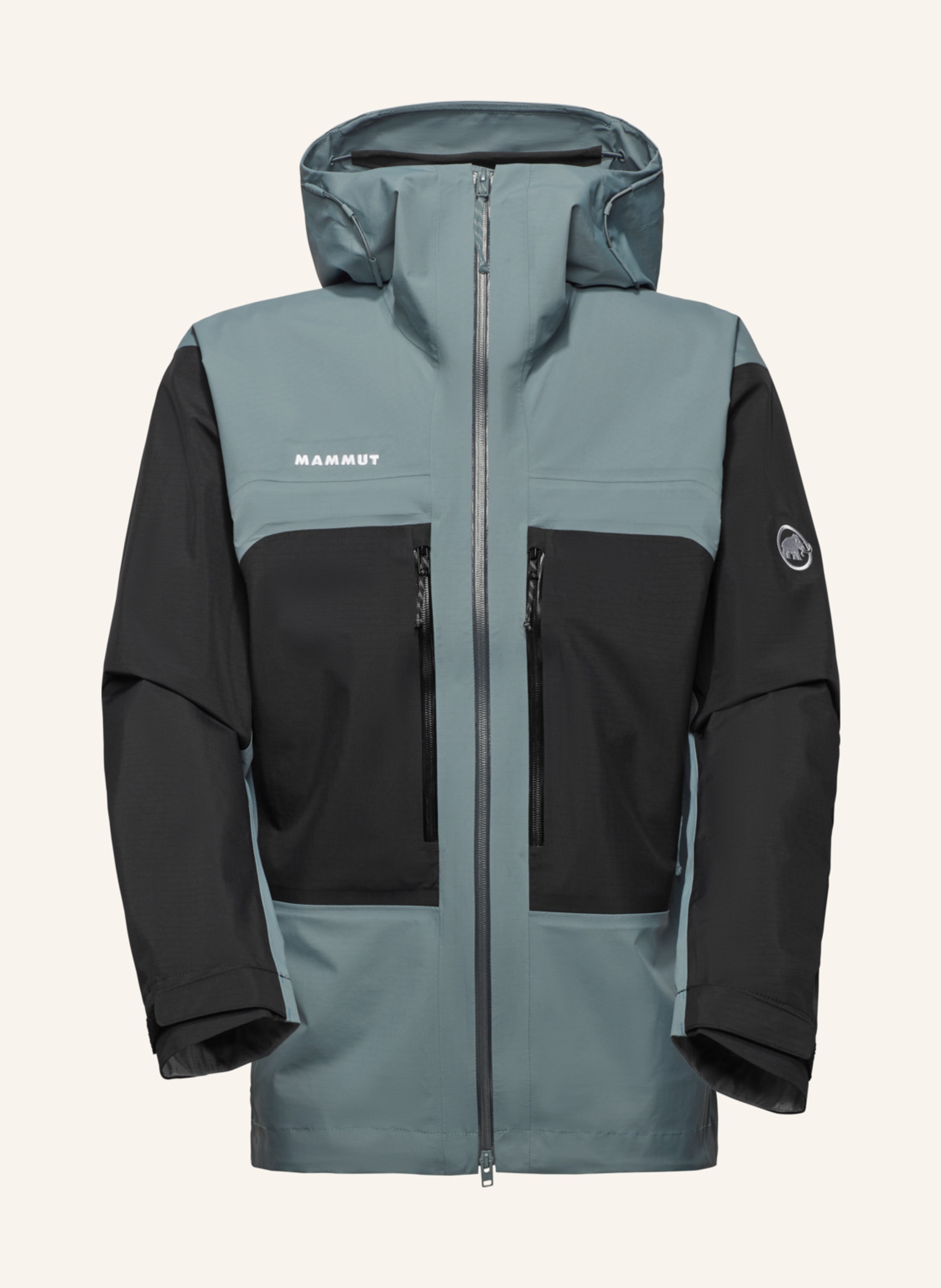 MAMMUT Taiss HS Hooded Jacket Men