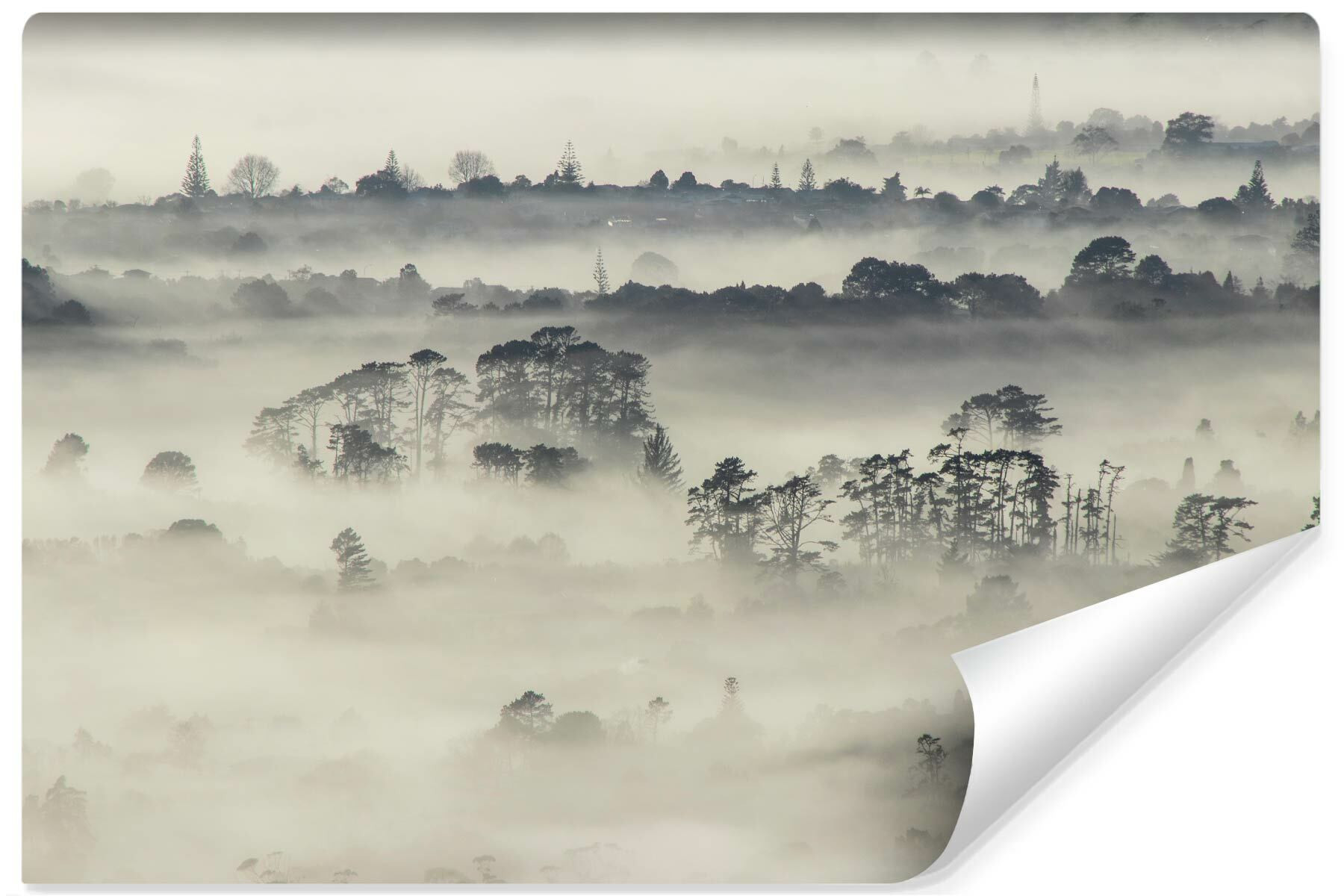 Fototapeta Do Sypialni Las We Mgle Efekt 3D 90x60cm