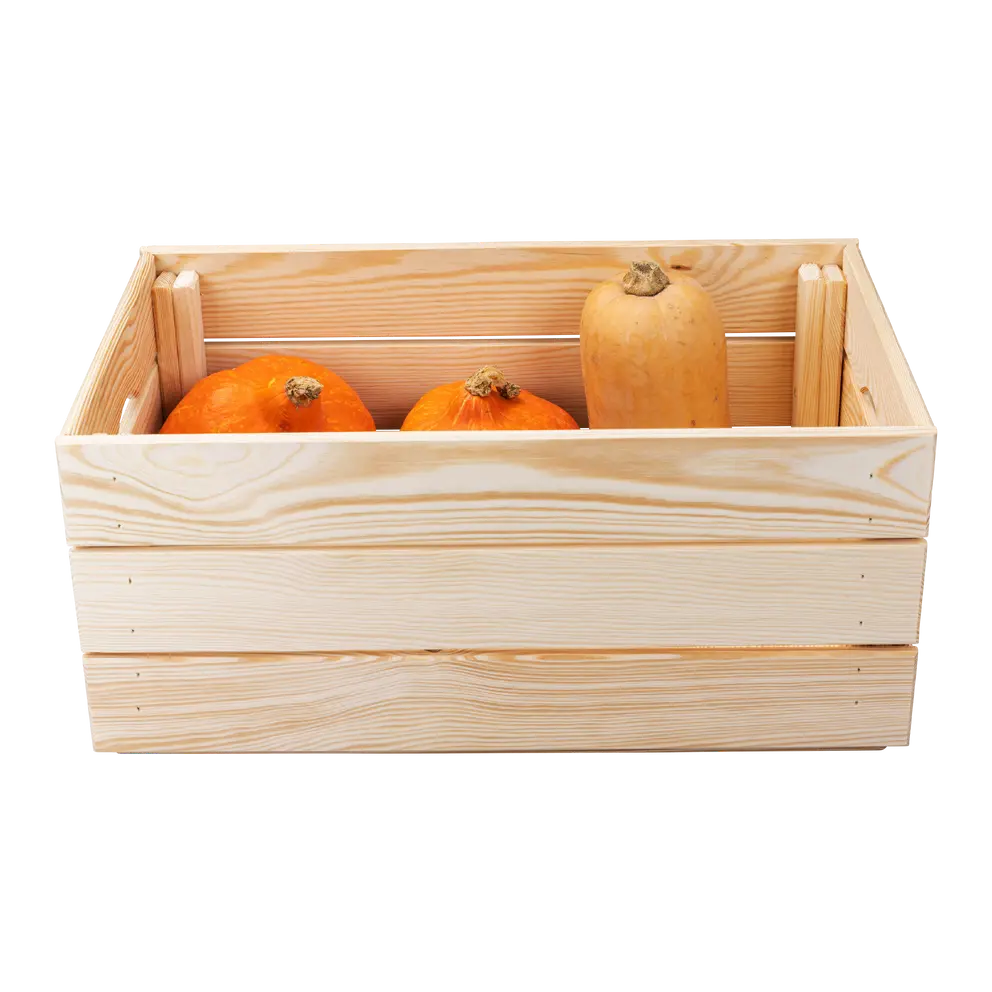Aufbewahrungsbox Valloni-506