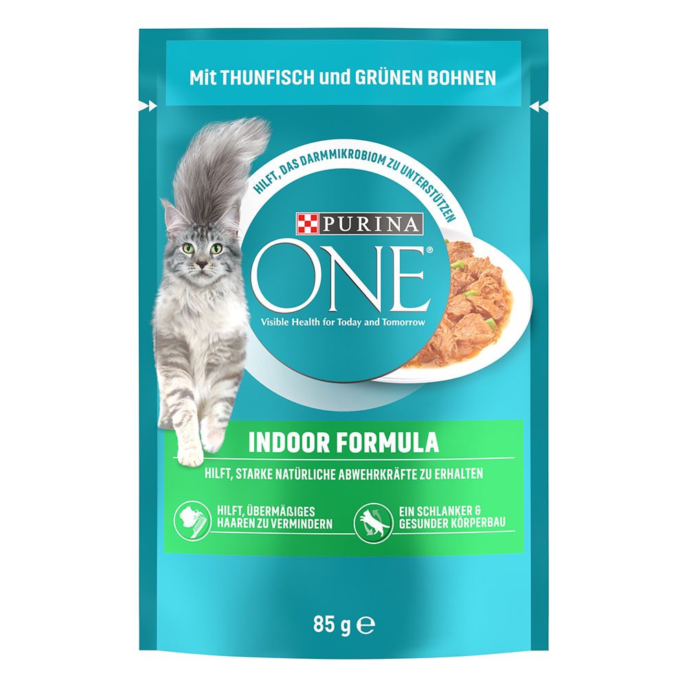 PURINA ONE Indoor Formula