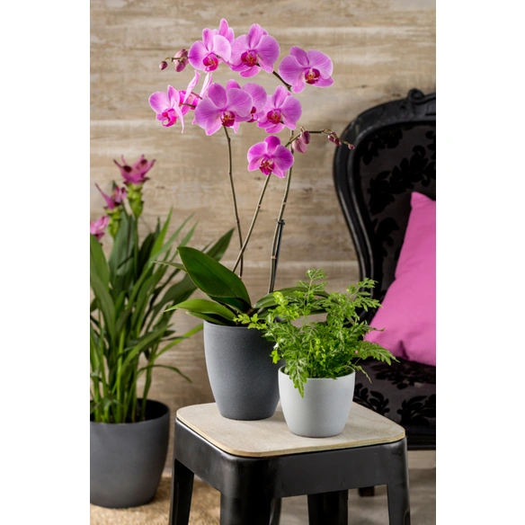 Übertopf »STONE«, Breite: 28 cm, grau, Keramik