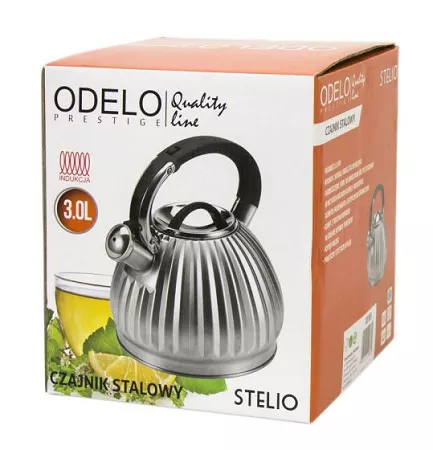 Czajnik stalowy 3 L Odelo - Stelio 1OD.CZA.1651