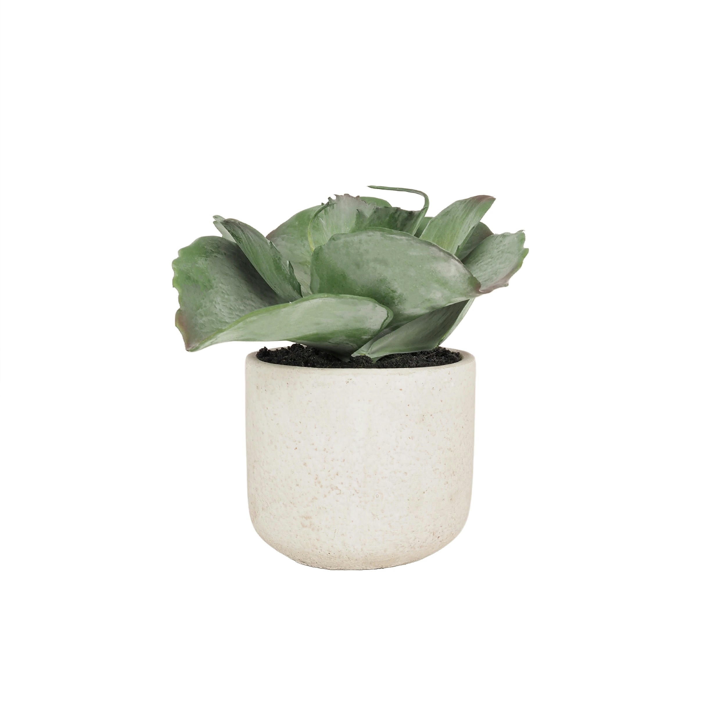 - Succulente artificielle pot effet ciment 17cm