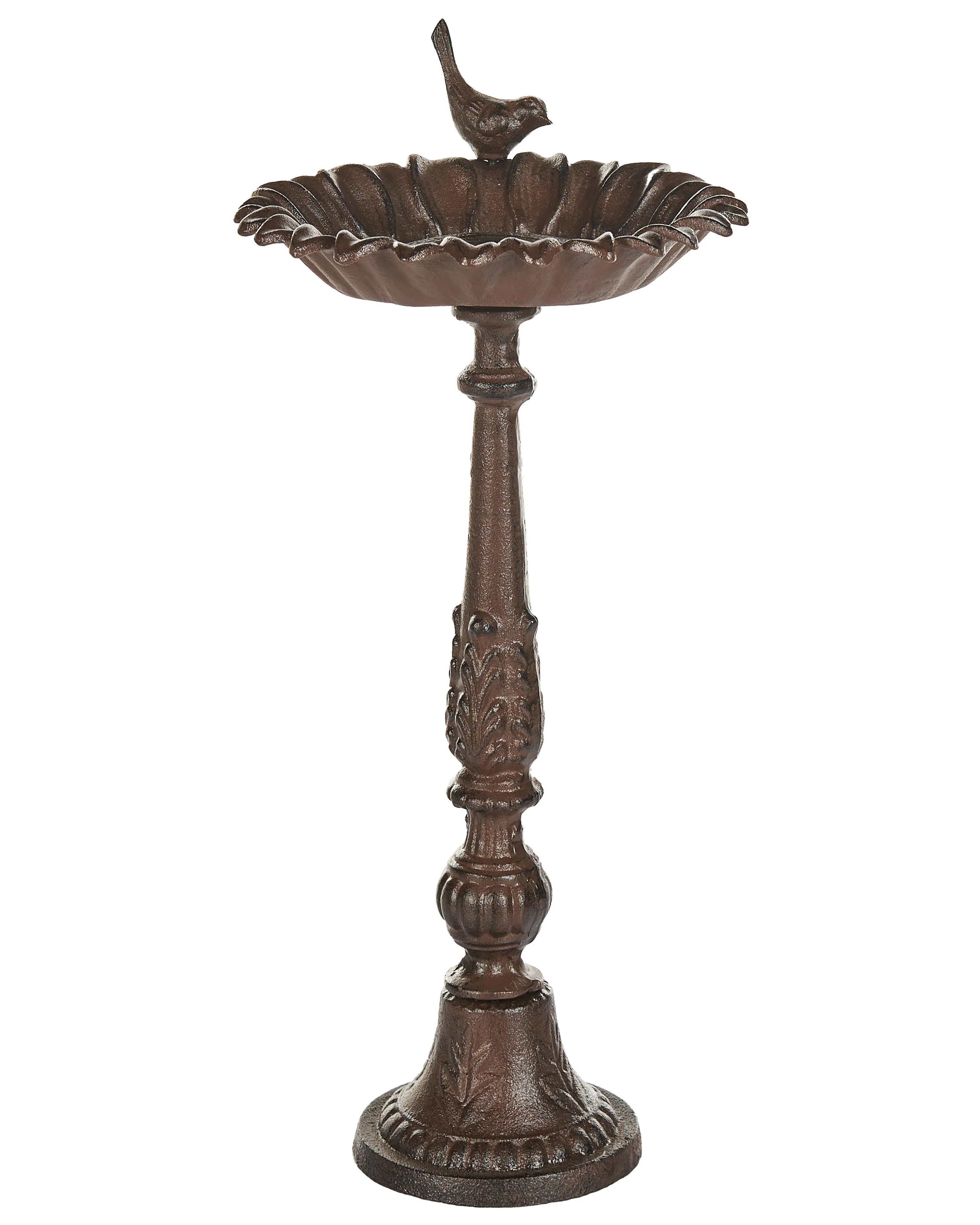 Bird Bath BLACKBIRD Brown