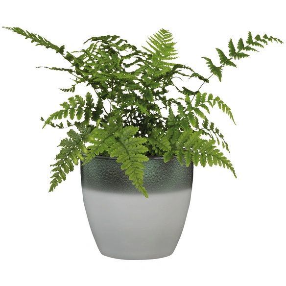 Übertopf »SHADES«, Breite: 14 cm, weiß/grün, Keramik