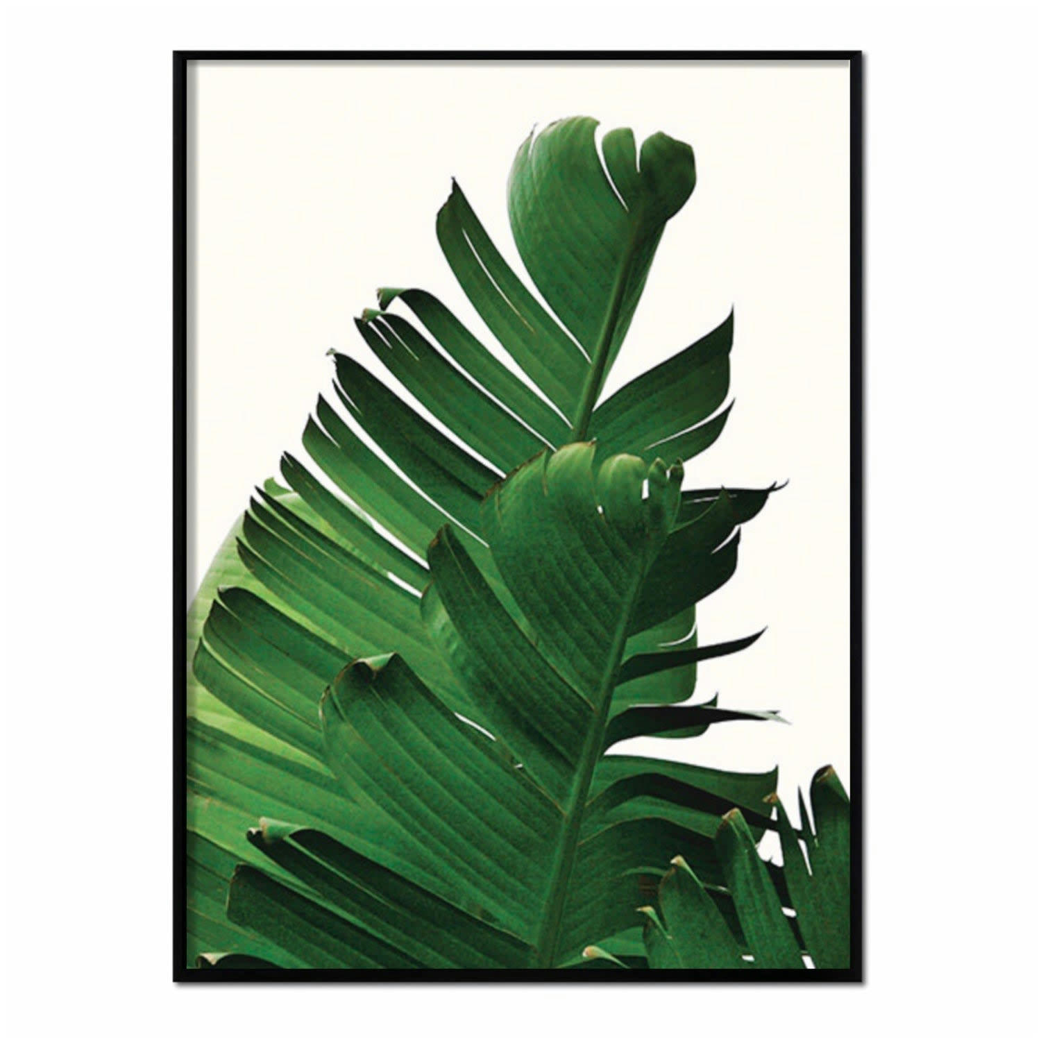 PALMERAS - Affiche avec cadre noir - Banane - 50x70