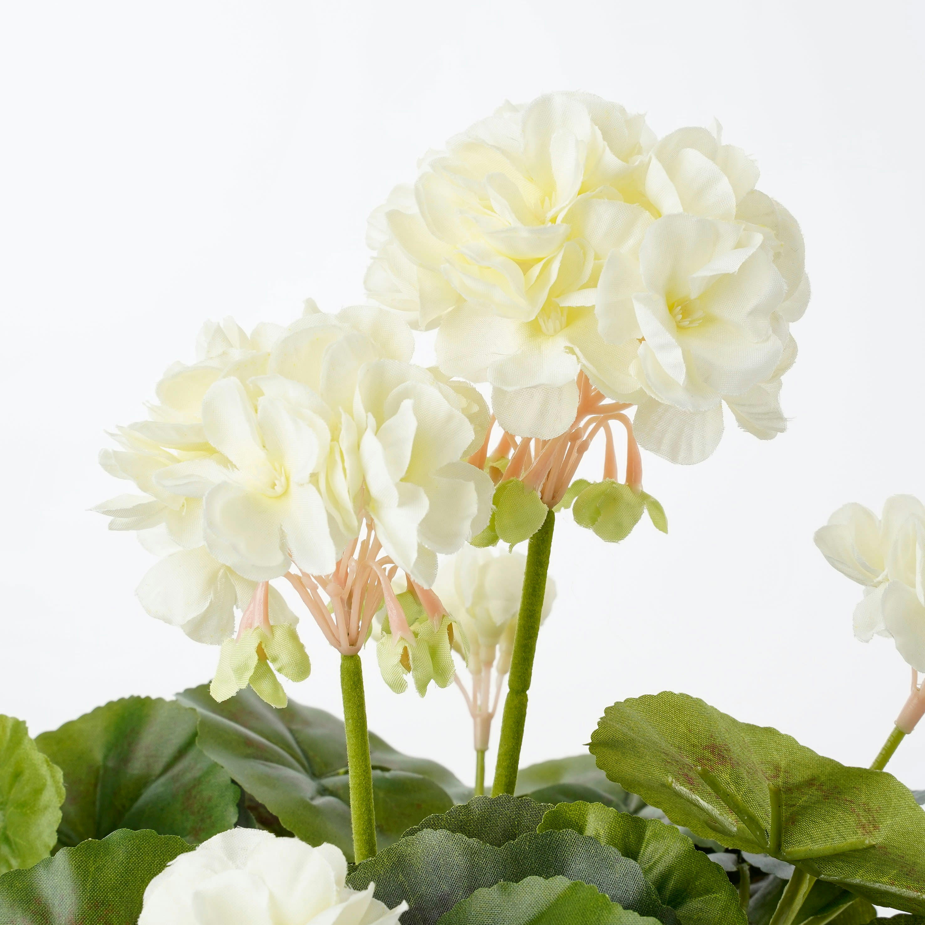 - Géranium artificielle crème en pot H34