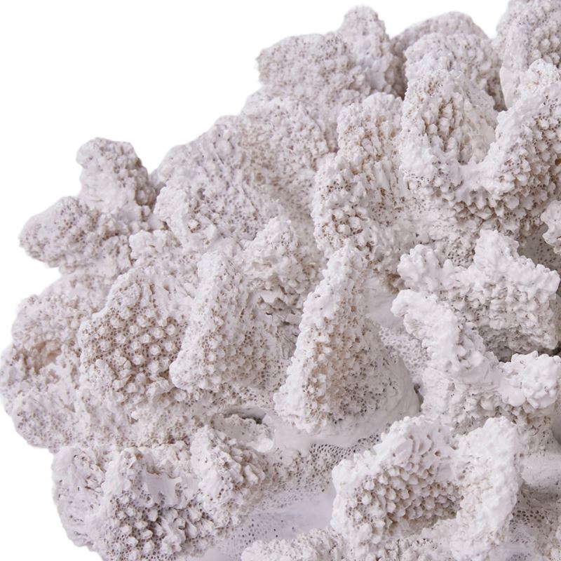 Byron White Coral Statue