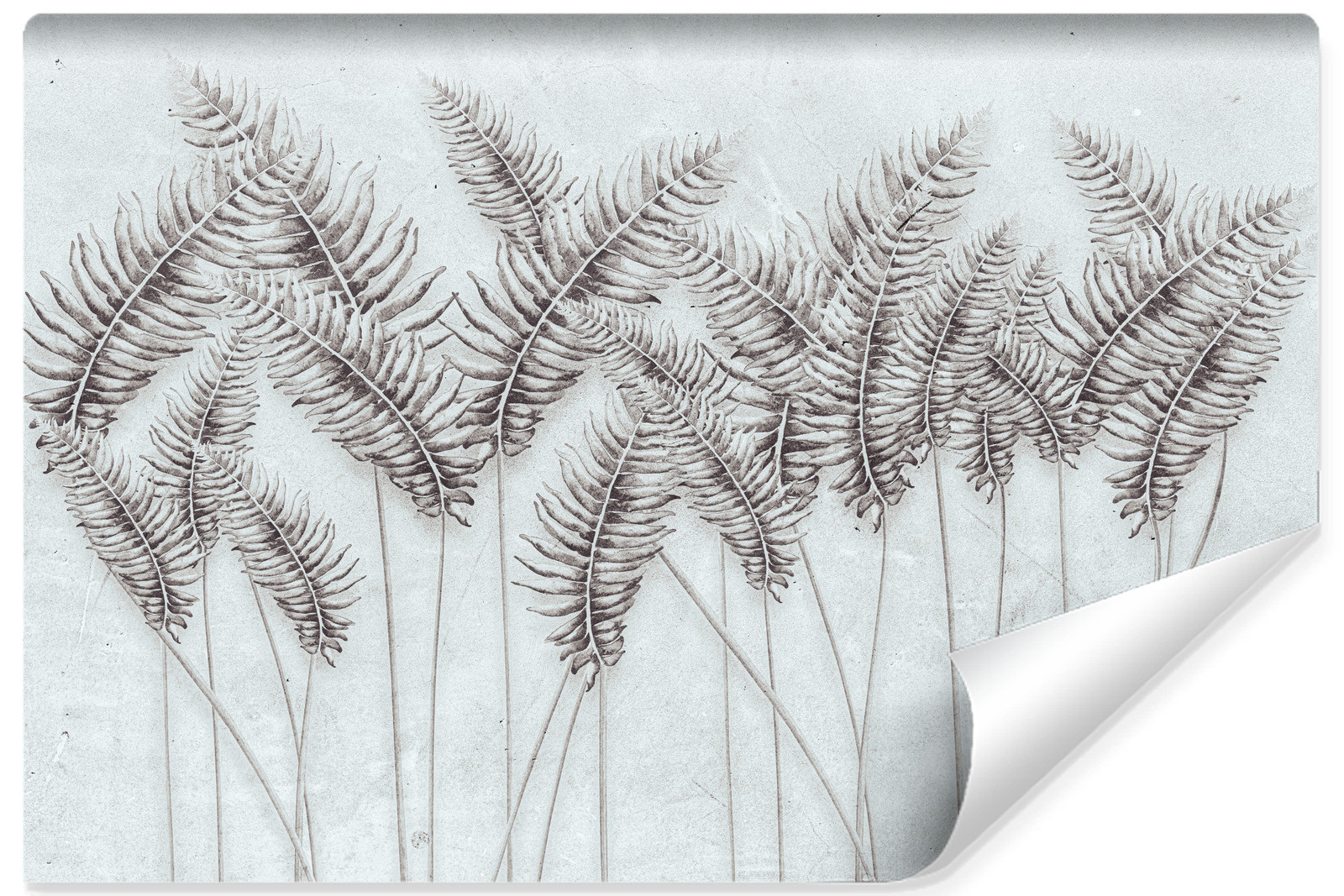 Fototapeta Liście Palmowe W Stylu Vintage 90x60cm
