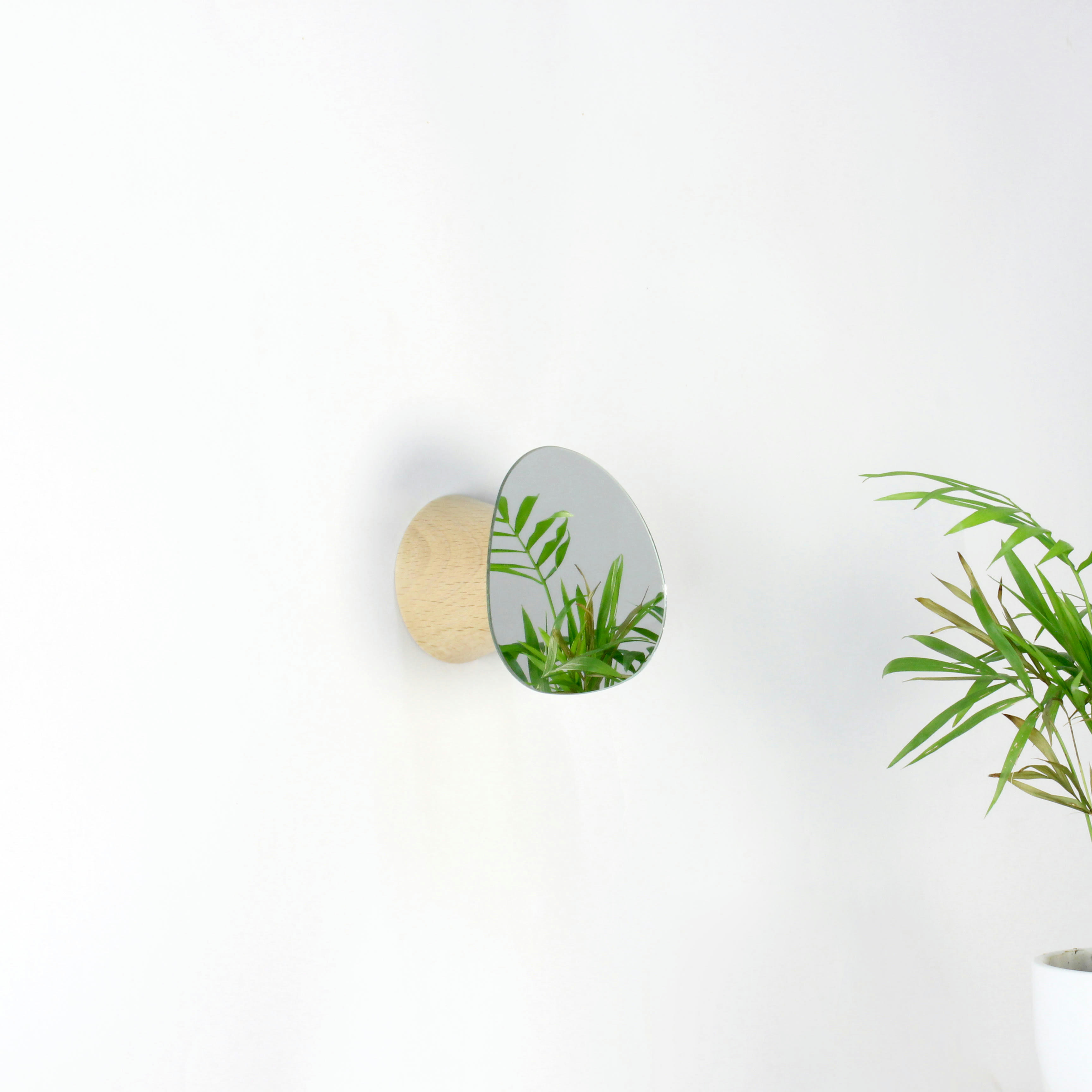 BOLET - Patère murale petit Bolet