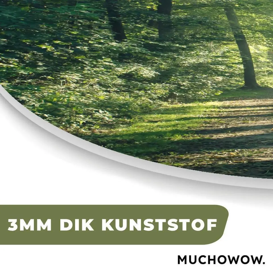 MuchoWow Wand decoratie 40x40cm Bos Pad Zon Bomen Groen