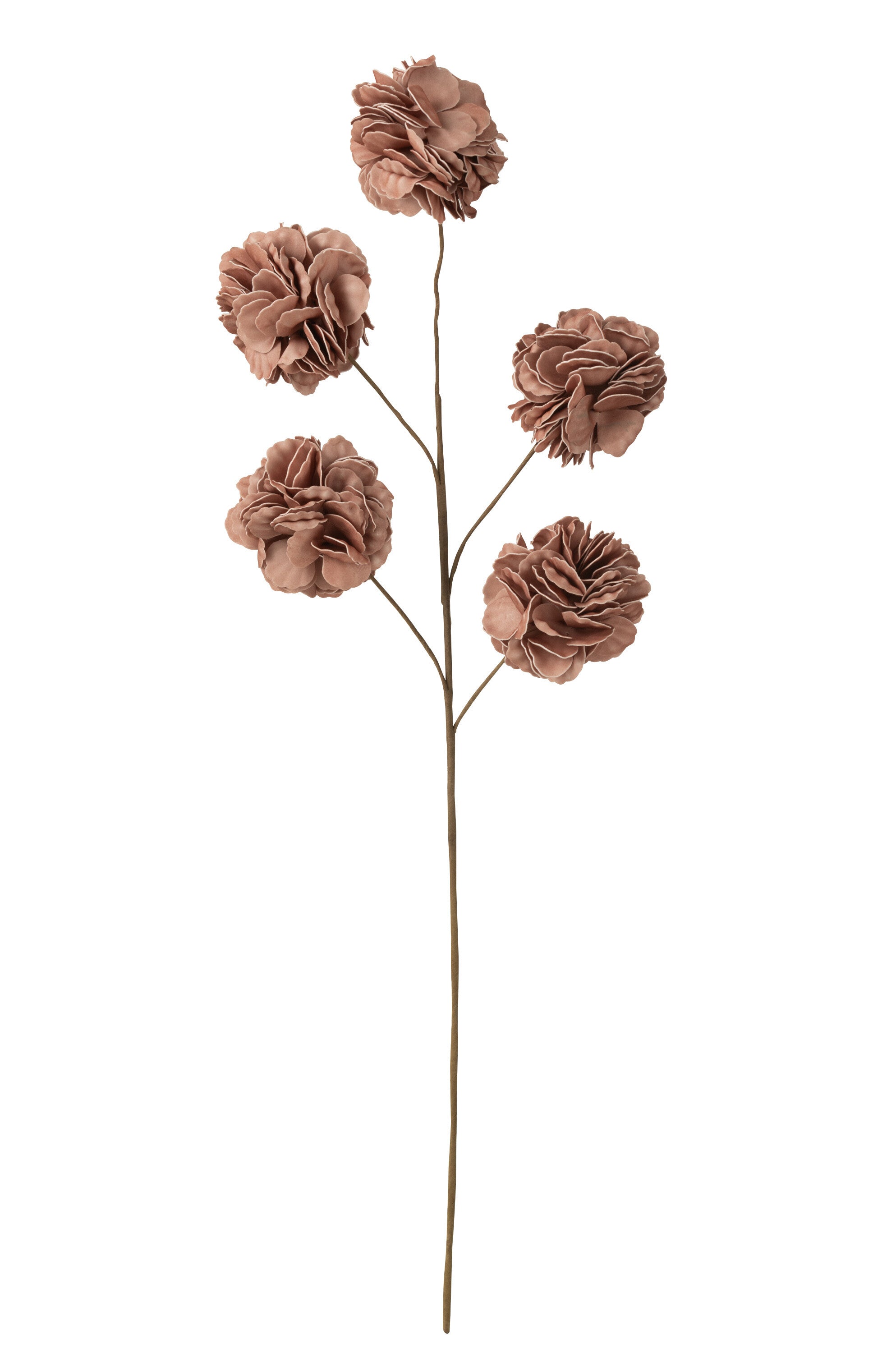 J-Line bloem tak 5 pompoms Eva Nude - kunststof - roze