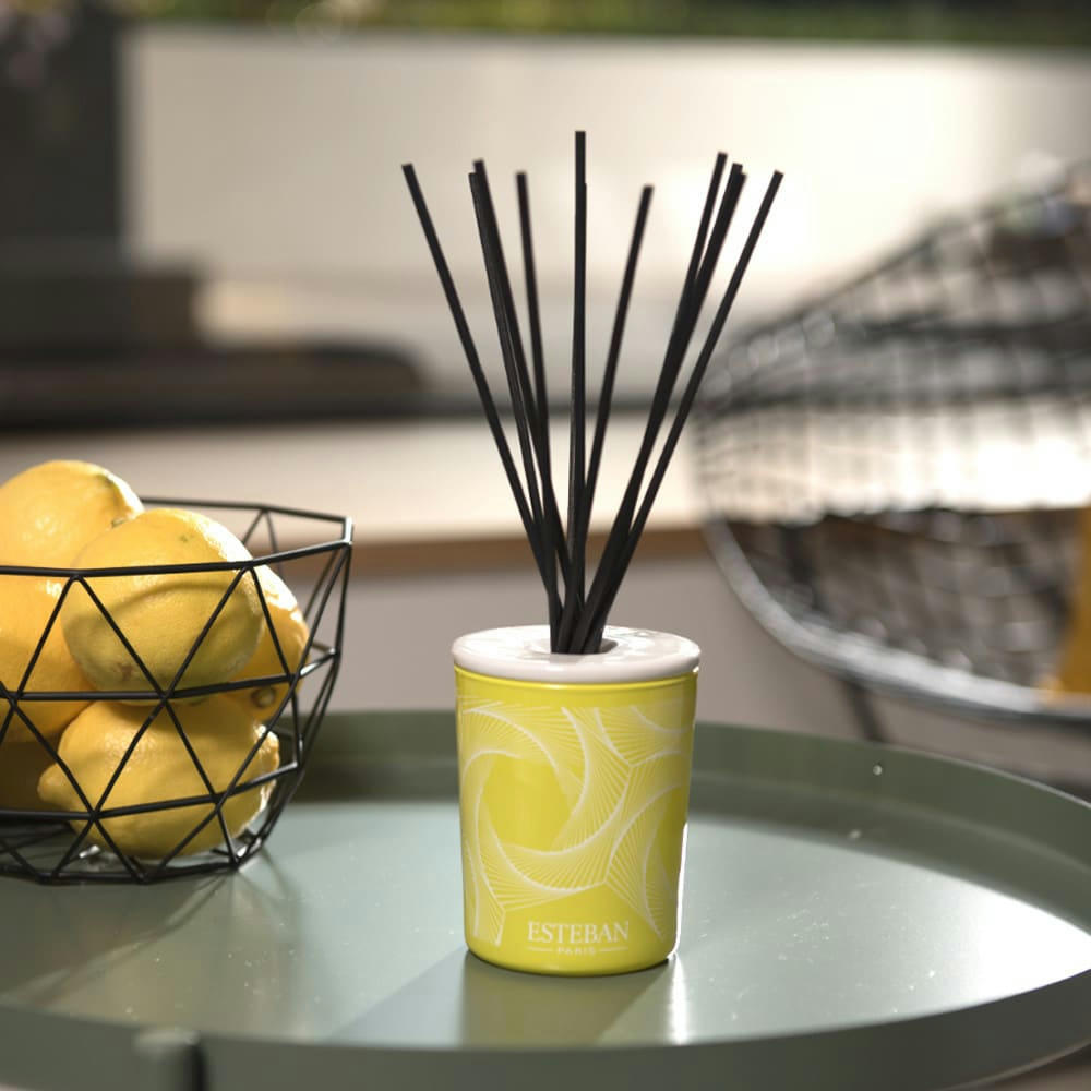 TERRE D'AGRUMES - Bouquet parfumé déco 100ml