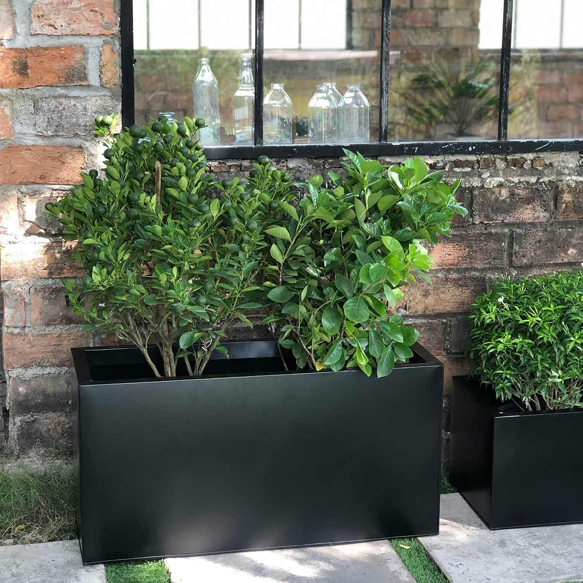 - Jardinière rectangulaire à poser