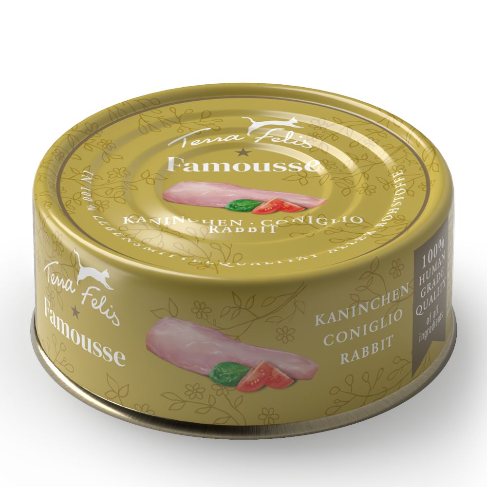 Terra Felis Famousse 12 x 80g