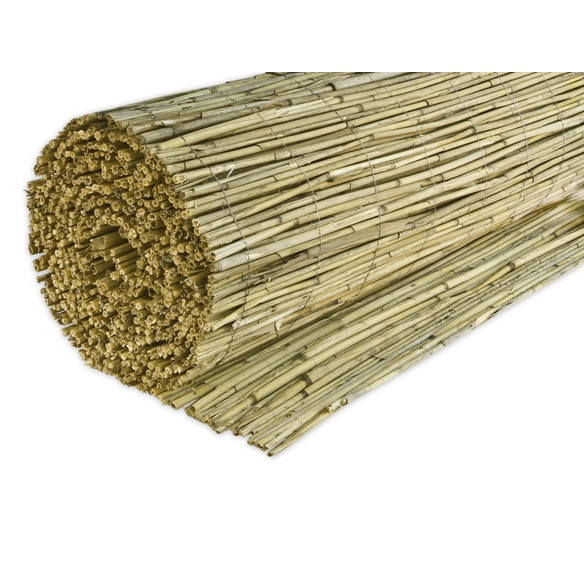 Sichtschutzmatte »Windhager«, Schilfrohr, HxL: 200 x 600 cm
