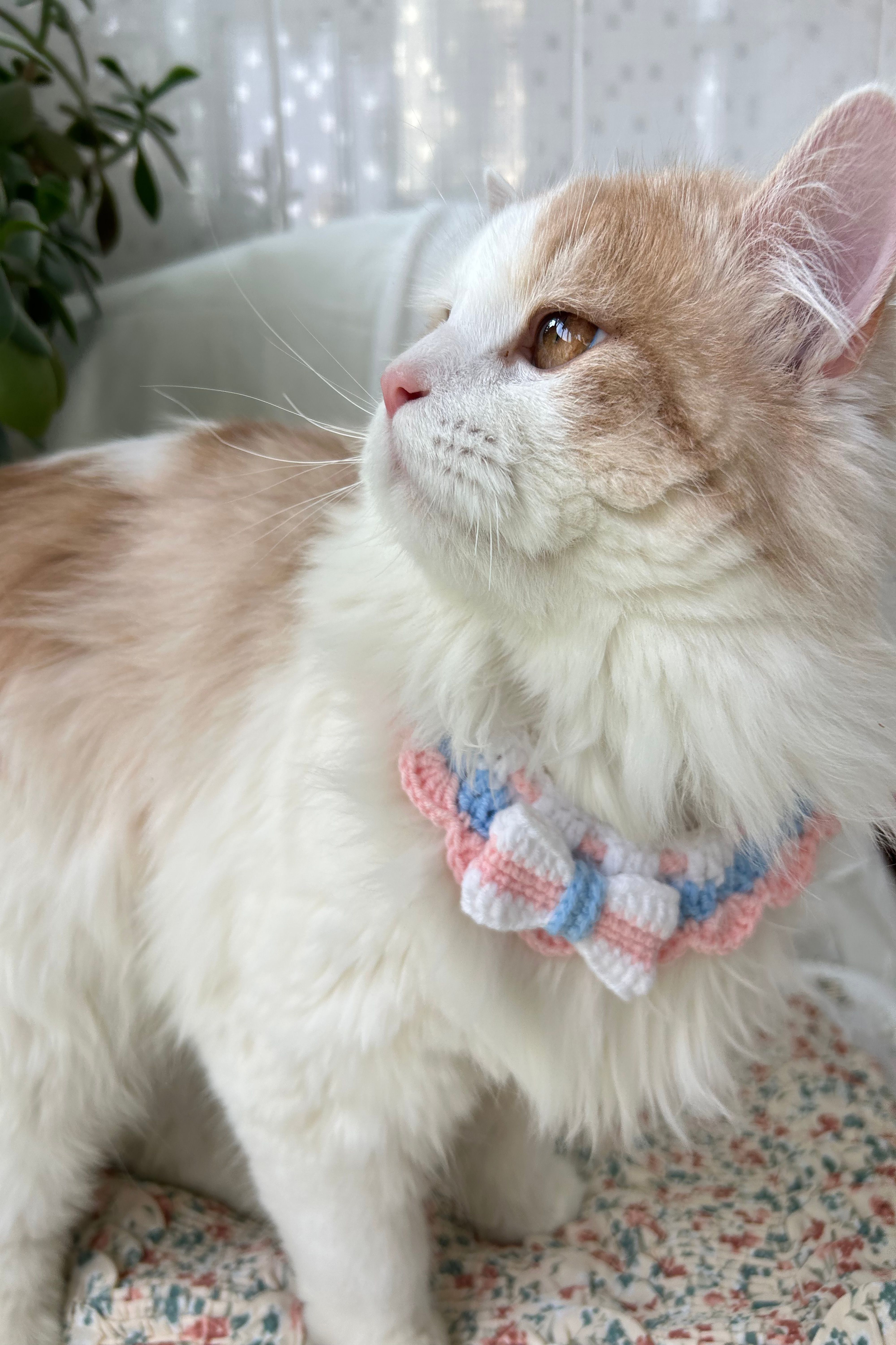 Vellin Handmade crochet pet collar scarf, pink blue cream bow bib