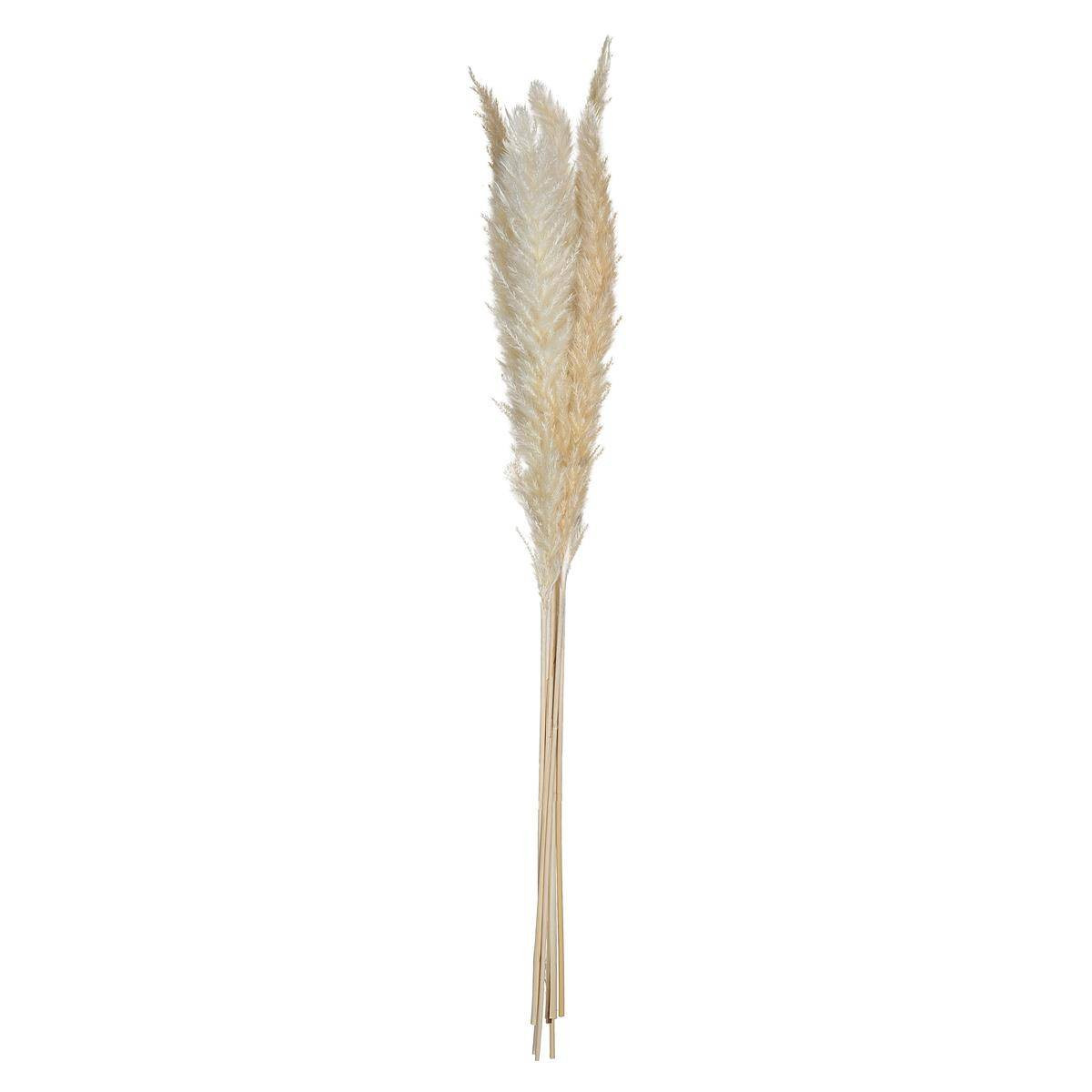 Ozdobne źdźbło z trawy pampasowej, 6 szt., 65 cm