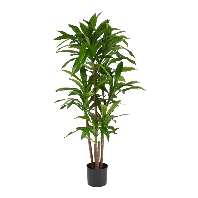 Kunstpflanze Draceana