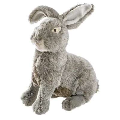 HUNTER Wildlife Hare Dog Toy