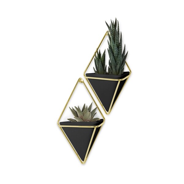Umbra Trigg 4-3/8" x 2-1/2" Wall Display Ceramic Planter by Moe