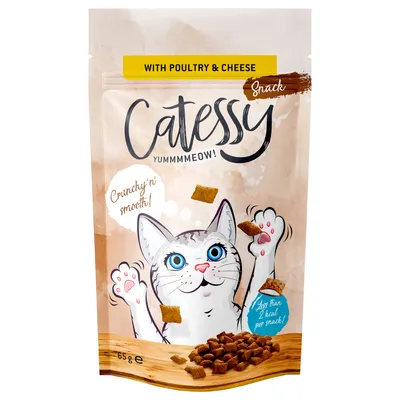 Catessy Crunchy Snacks Saver Pack 3 x 65g