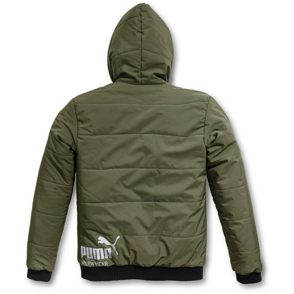 Winterparka »Champ«, olivgrün/carbon, Polyester