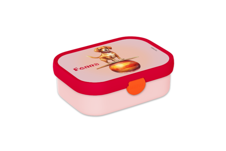 Ontwerp je eigen Lunchbox Campus - Circus