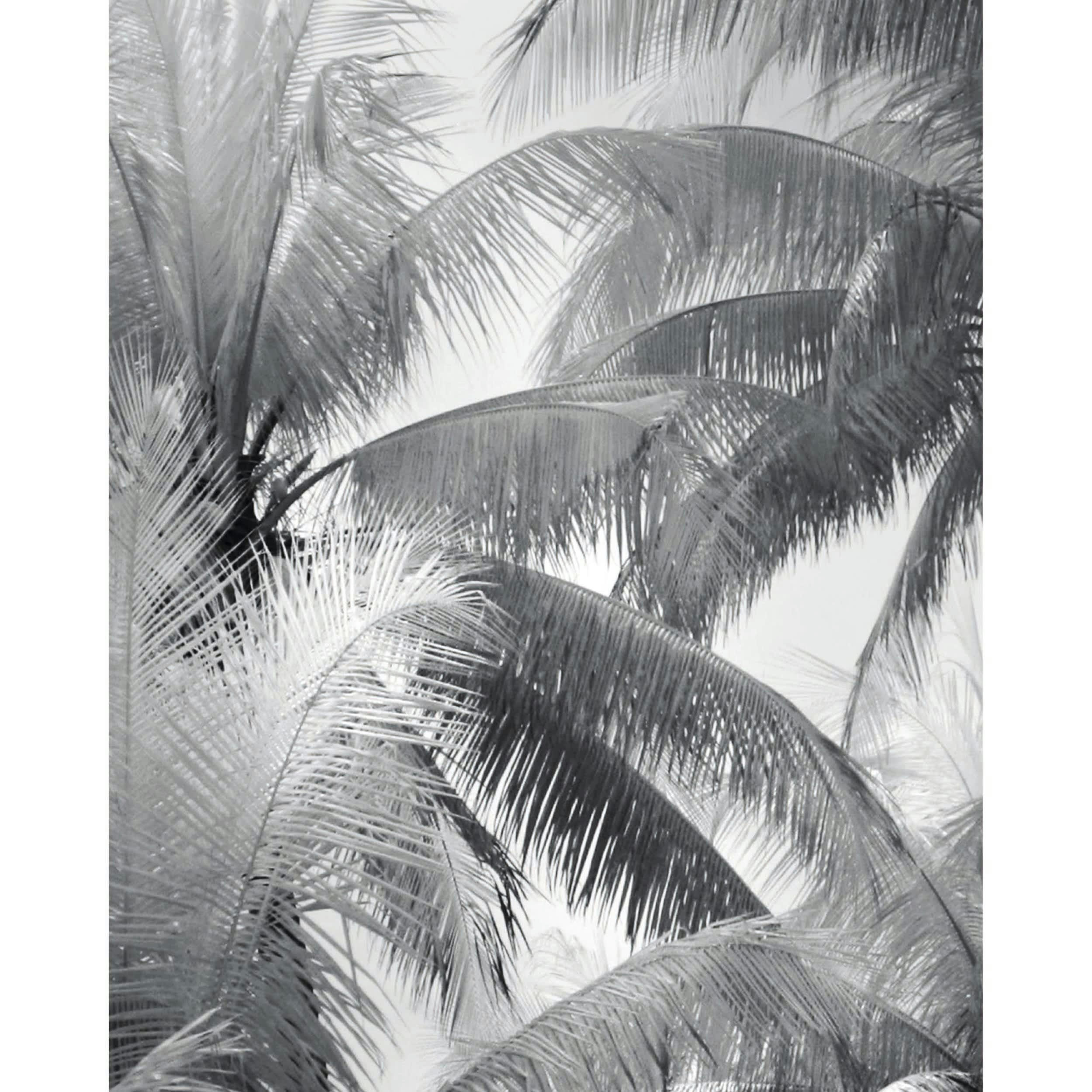 HERBI - Poster en papier noir et blanc 40x50 cm