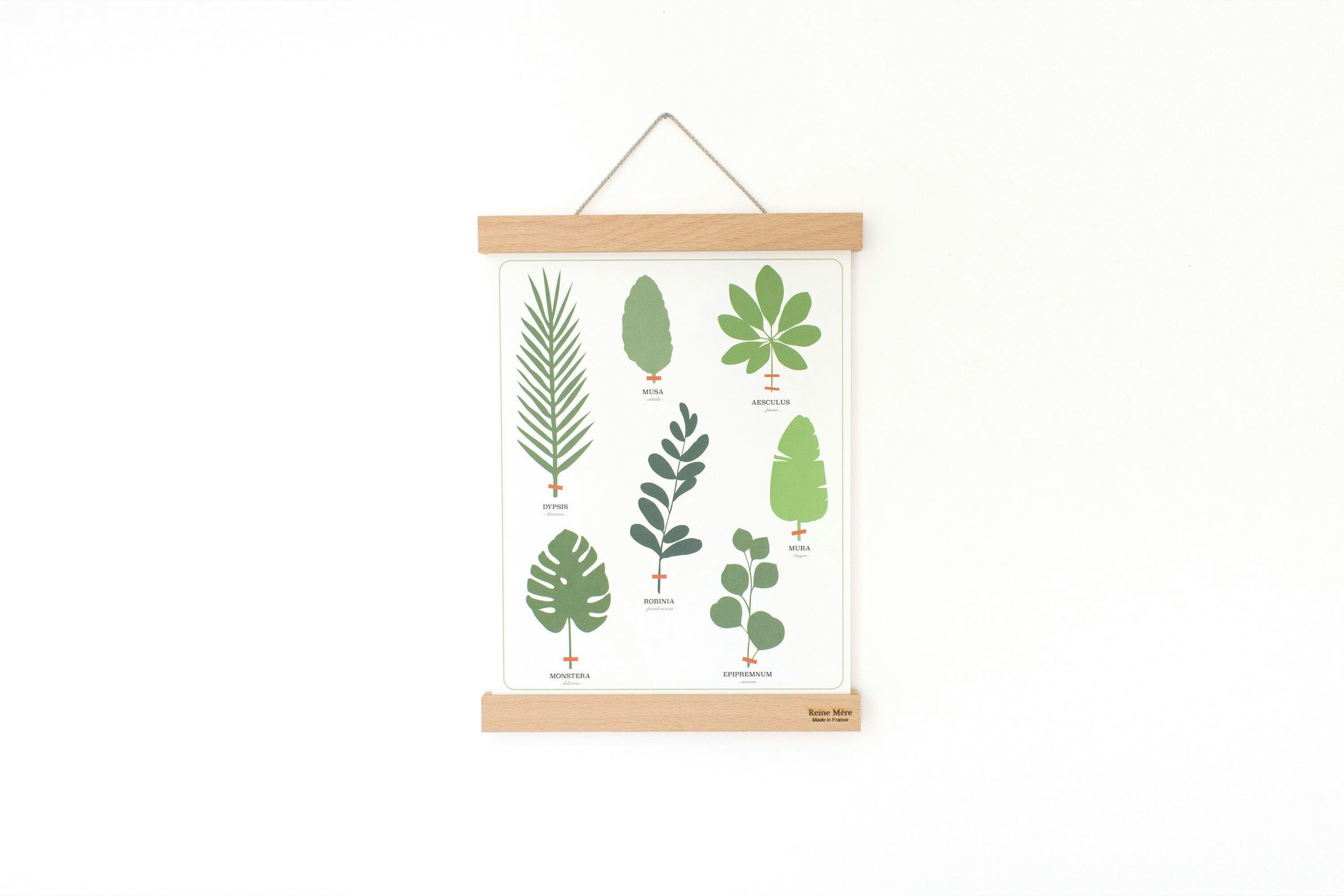 - Porte-affiche aimanté tasseau 51cm