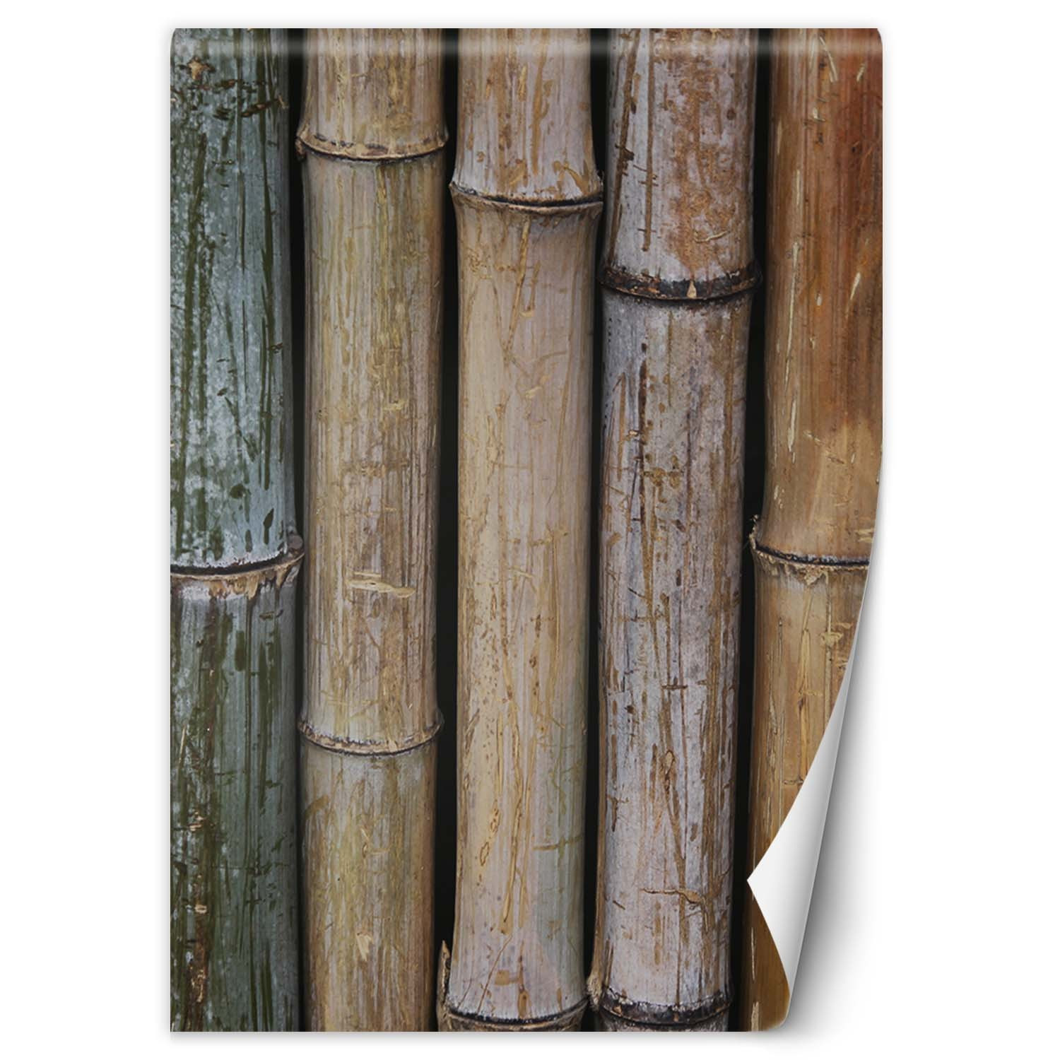 Feeby Fototapeta, Pastelowe łodygi babmusa 100x140