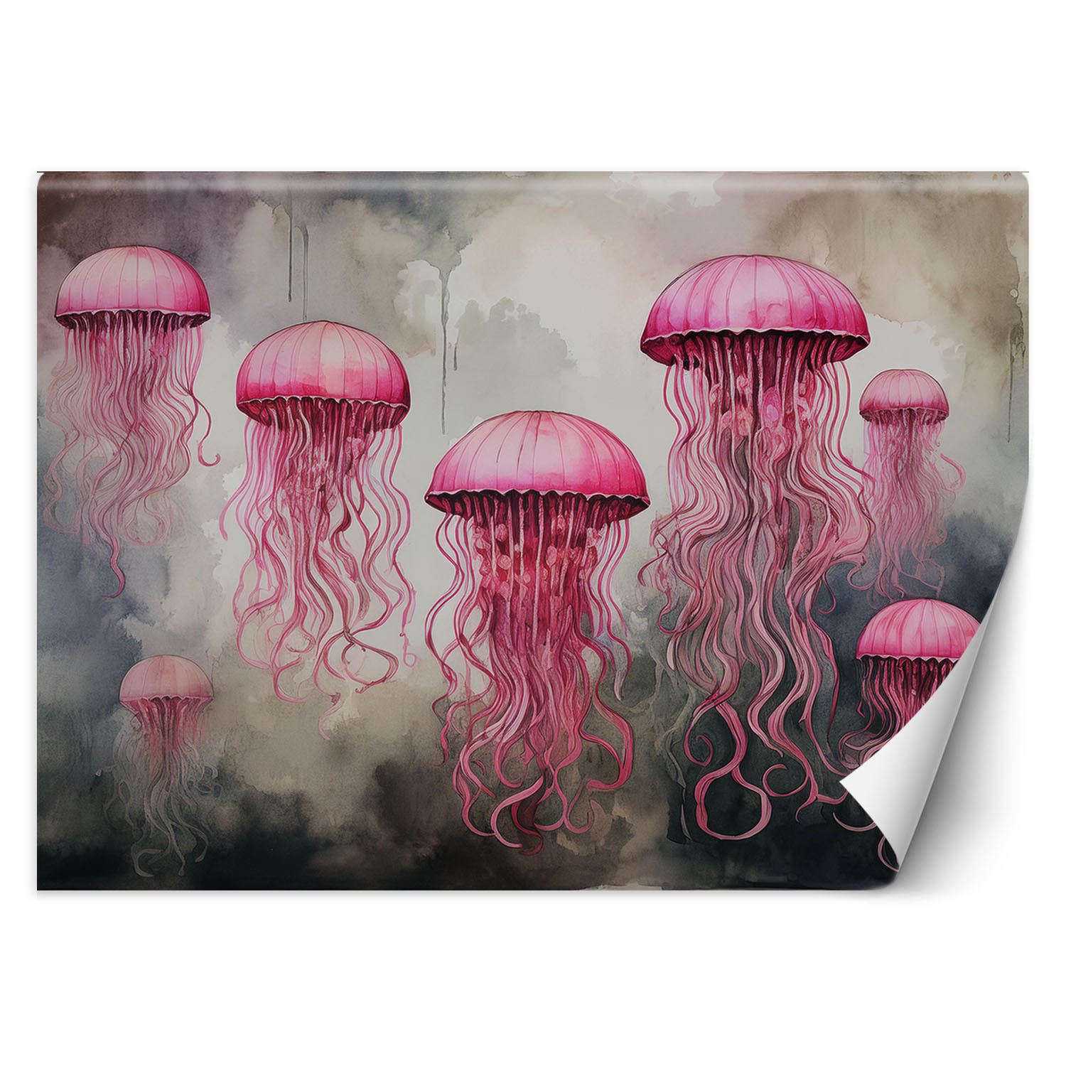Feeby Fototapeta Meduza morska różowa