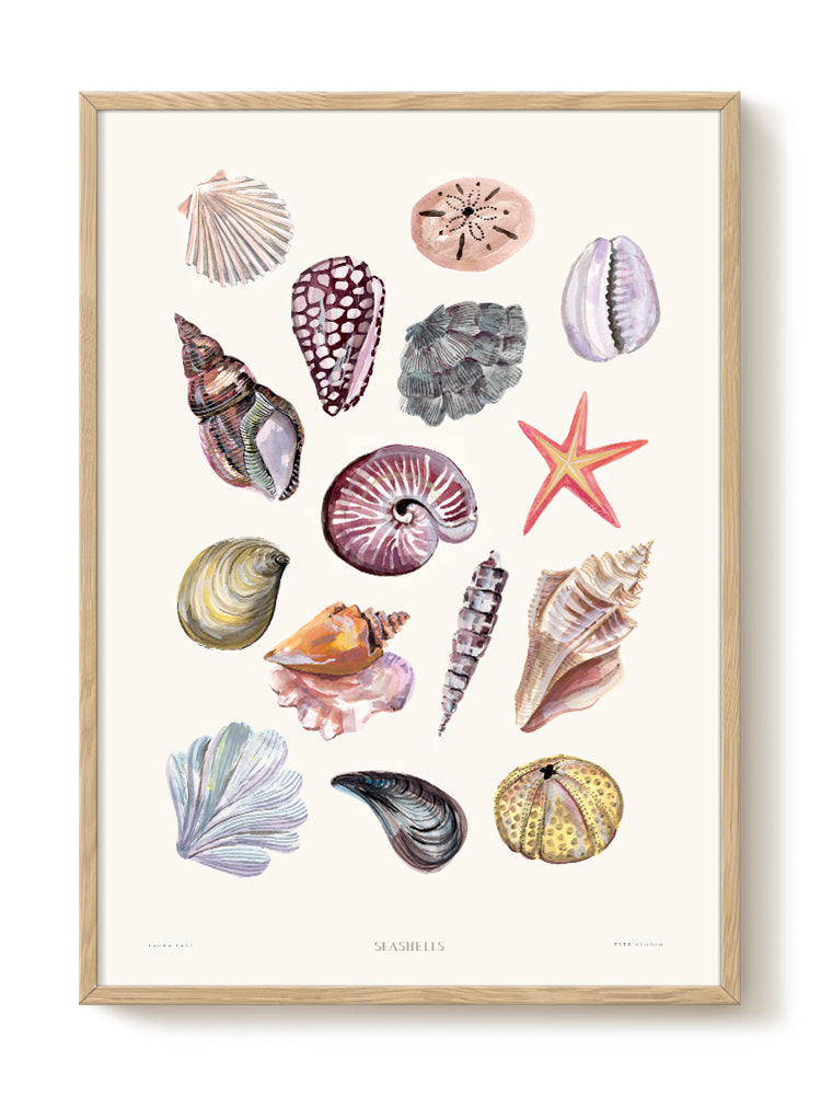 Laura - Seashells - PSTR studio Kunst Poster