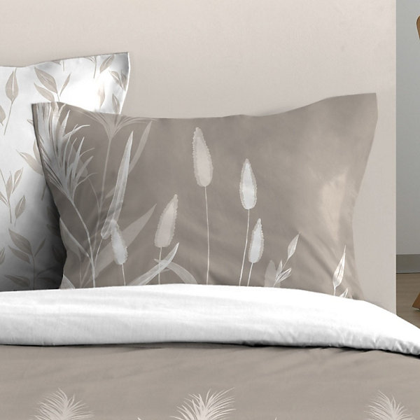 Housse de couette 260x240 PAMPA   2 taies coton 57 fils