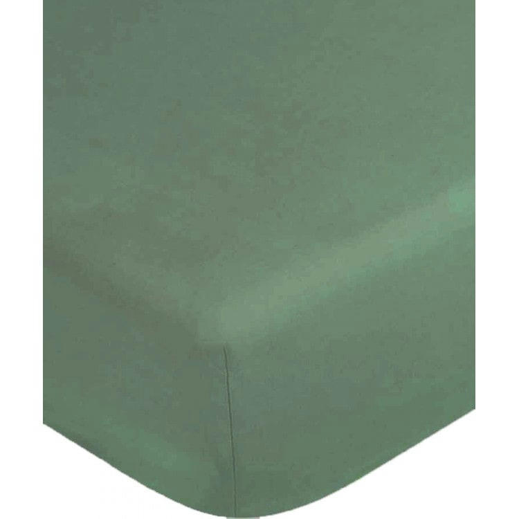 PALACE - Drap housse en Coton Vert 90x190 cm