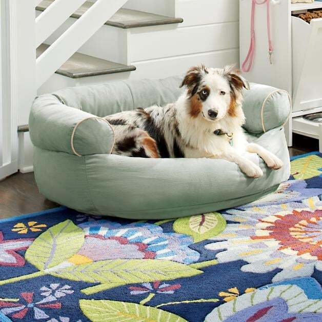The Best Gift For Your Dogs