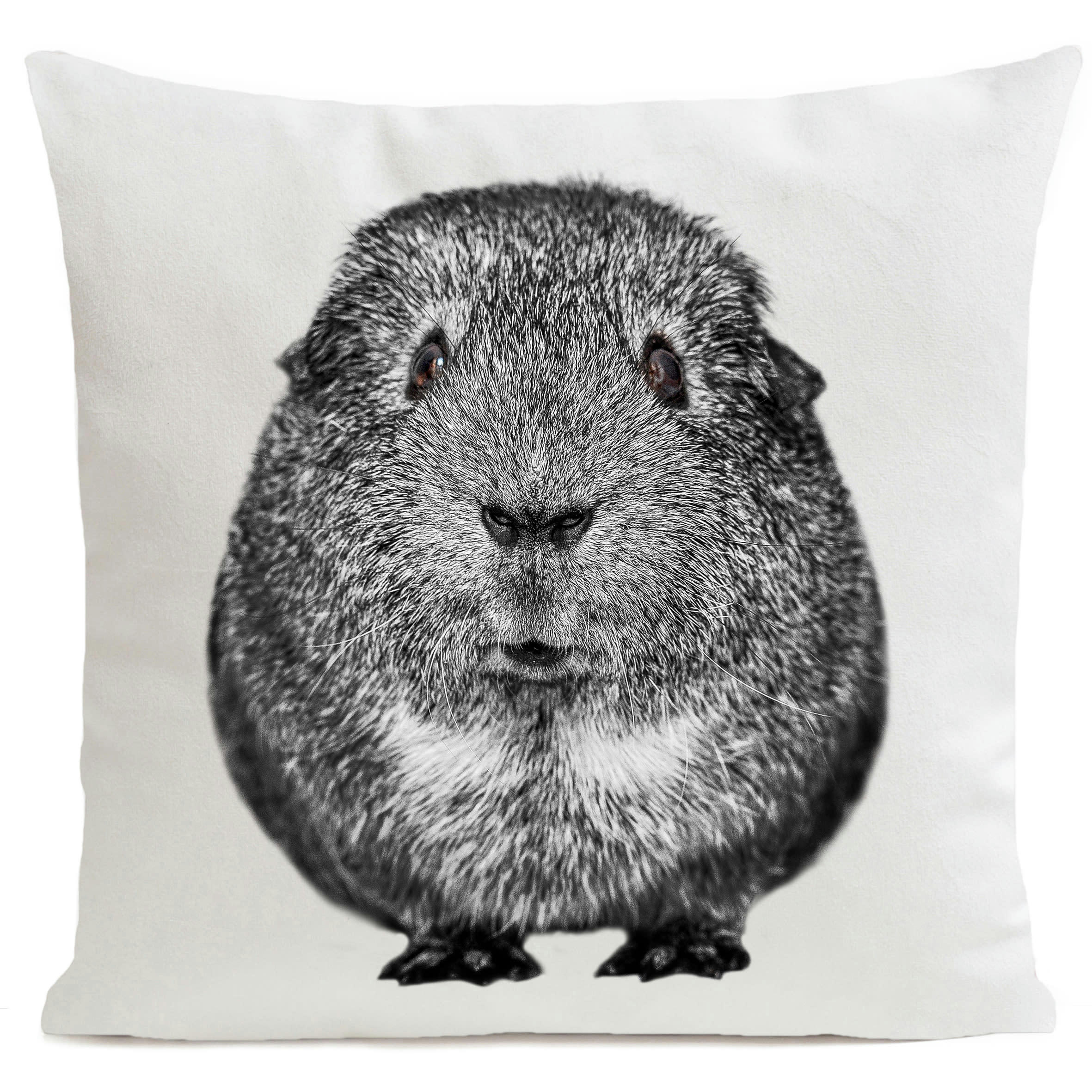 - Coussin enfant cochon d'inde blanc 40x40cm