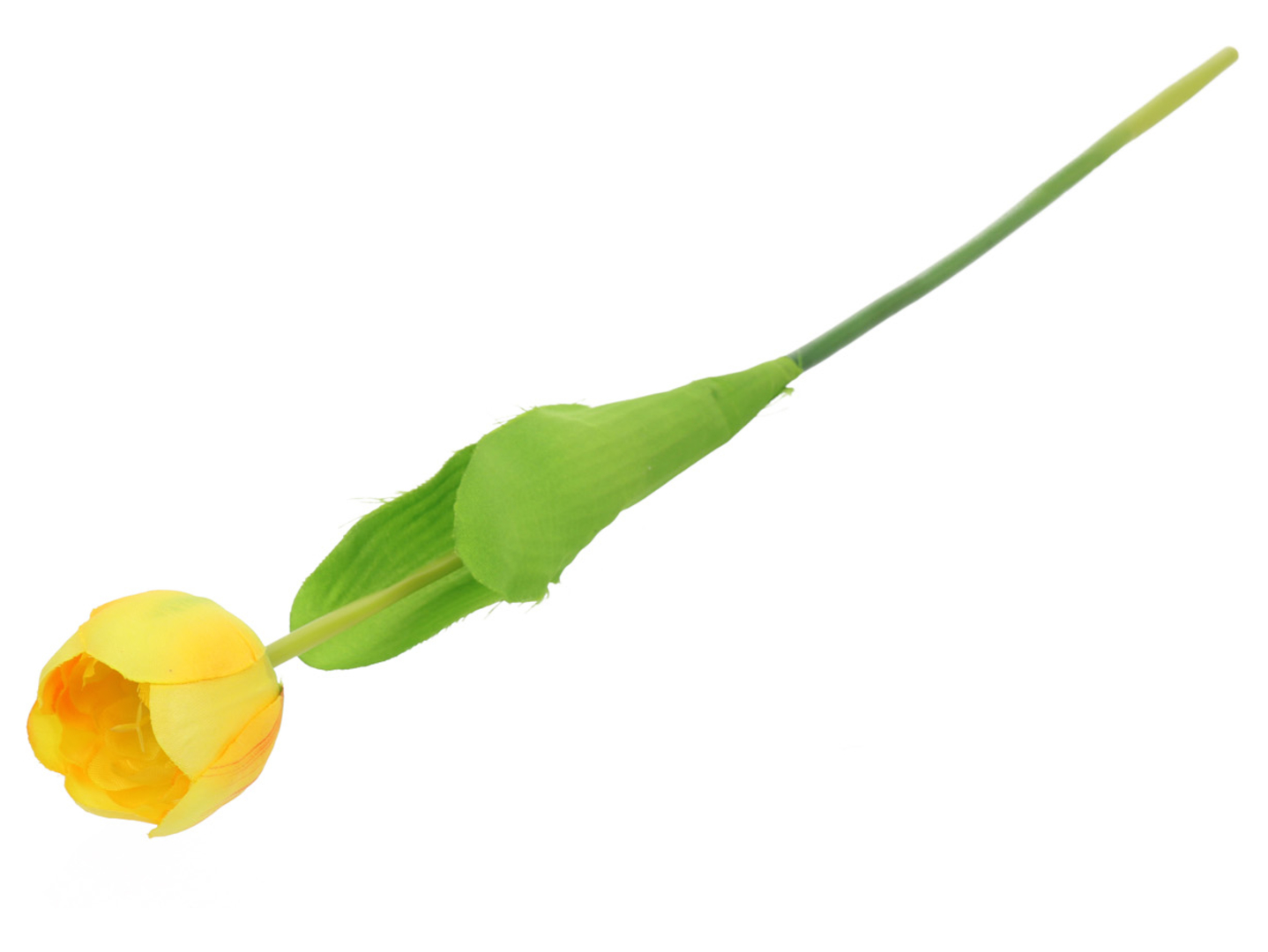 Tulipan pojedynczy 53 cm żółty