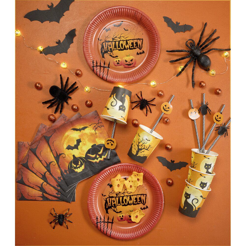 Paille papier Halloween x10 motif arraignée et citrouille noir blanc orange L19cm