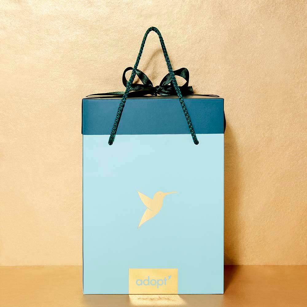 Boîte cadeauMoyenne taille verte