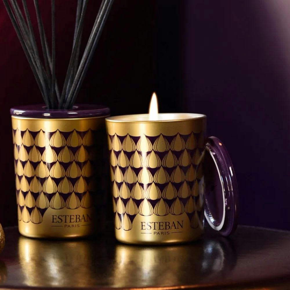 FIGUE NOIRE - Bougie déco parfumée rechargeable