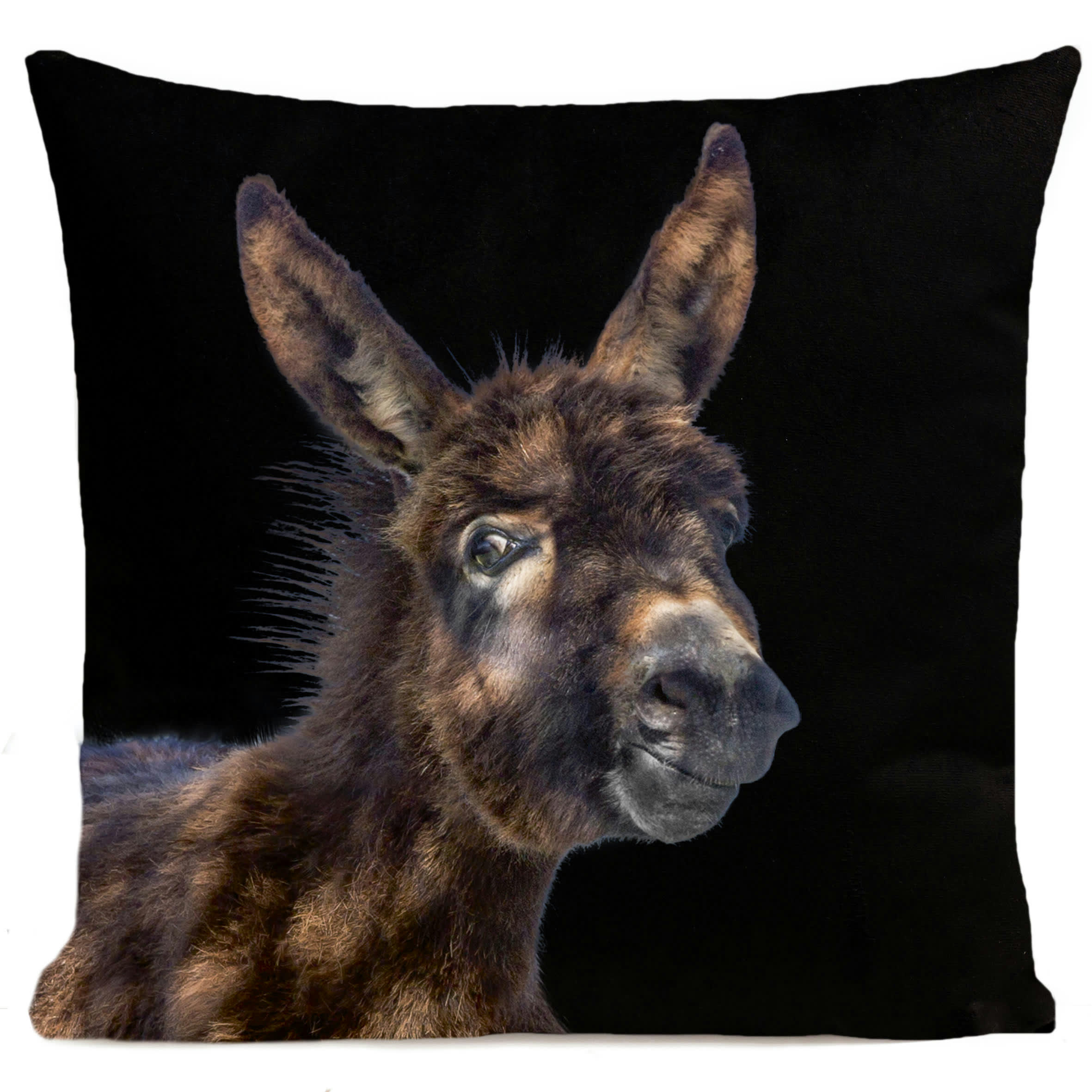 - Coussin enfant animal suédine noir 40x40cm