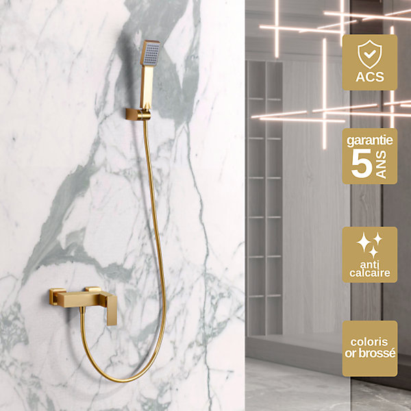 Mitigeur de Douche anti-calcaire Or Brossé IMEX PISA BDP048-5OC